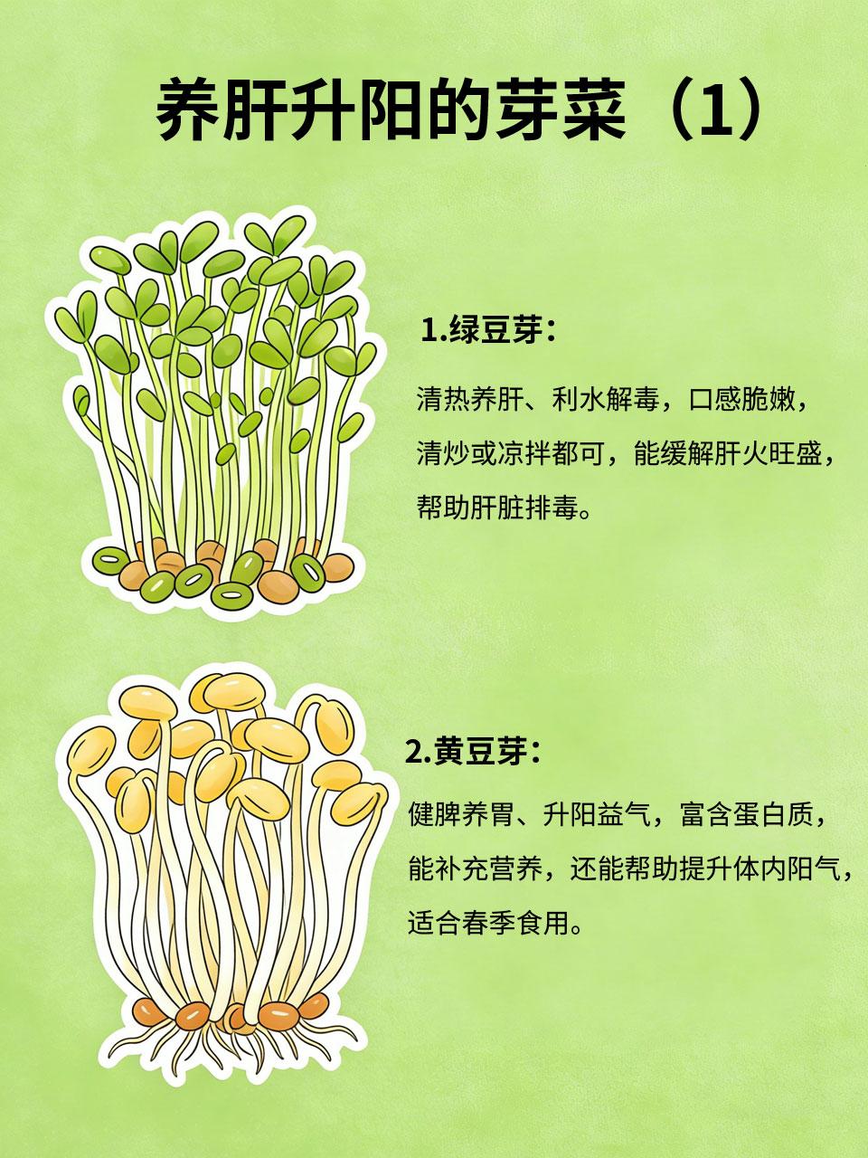 春天吃芽胜过吃肉！这几种芽菜，养肝升阳超厉害
春季是万物复苏的季节🌸，芽菜鲜嫩