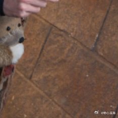 阳光信用 每日一善 不要吝啬你的笑容，不要隐藏你的善良，记住卡耐基这一段话，你将