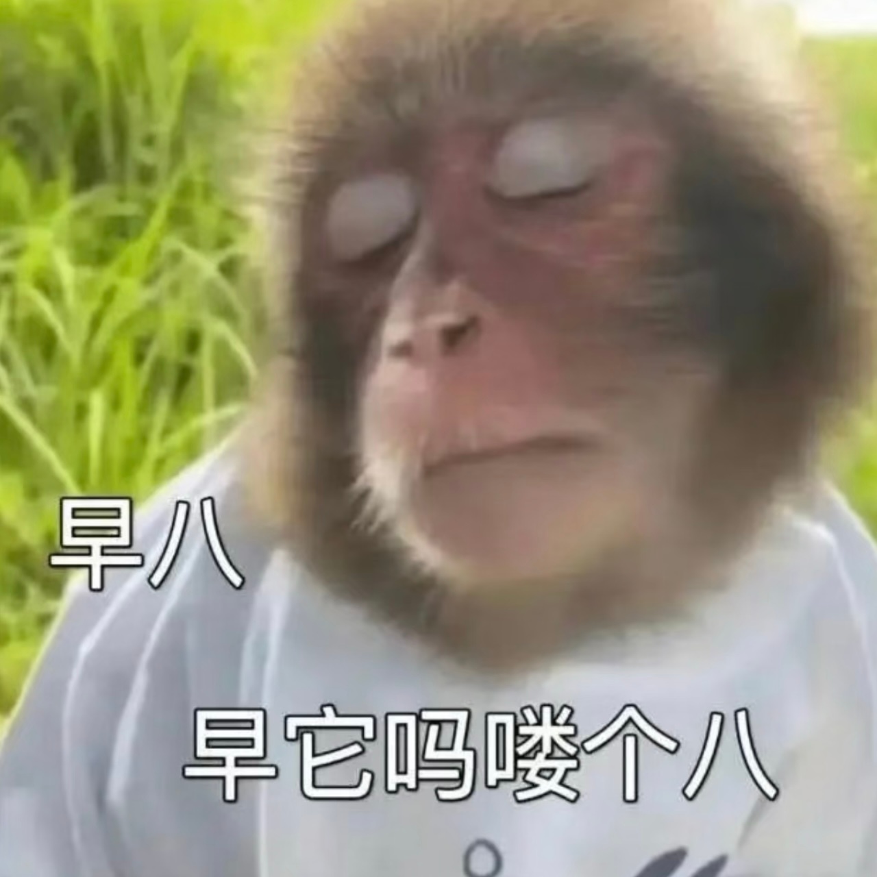 这一礼拜都是 夜里一两点睡 一早六七点就醒了救命 困死了怎么肥四