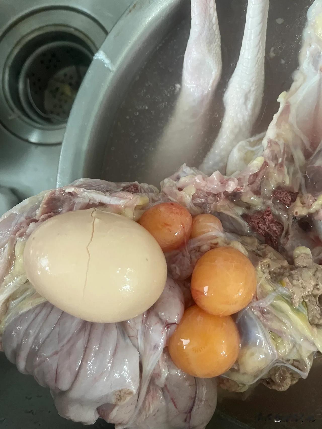 死不瞑目的鸡

朋友送了只鸡
我想处理一下炖汤
从冰箱拿出来
放水盆清洗
杀鸡的