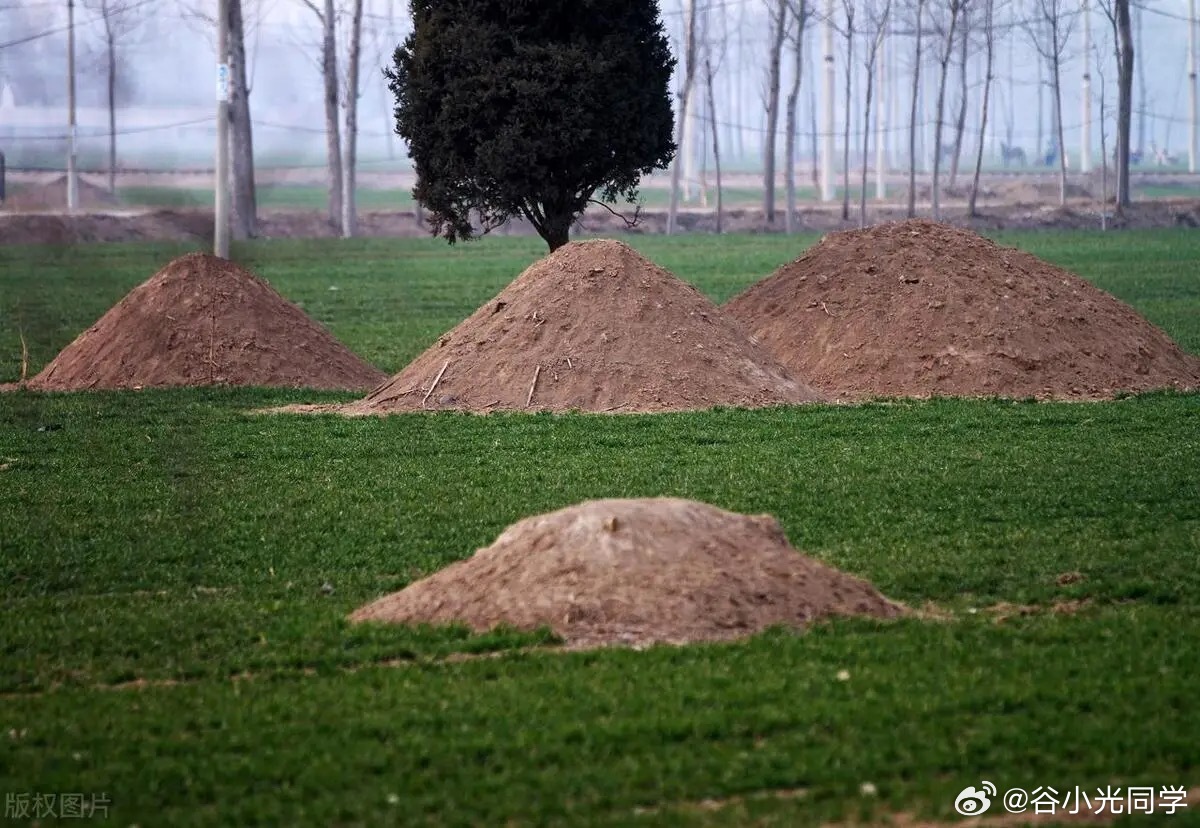 新殡葬制度将于3月底执行延续千年的殡葬文化，要在我们这一代彻底改变，你们怎么看火