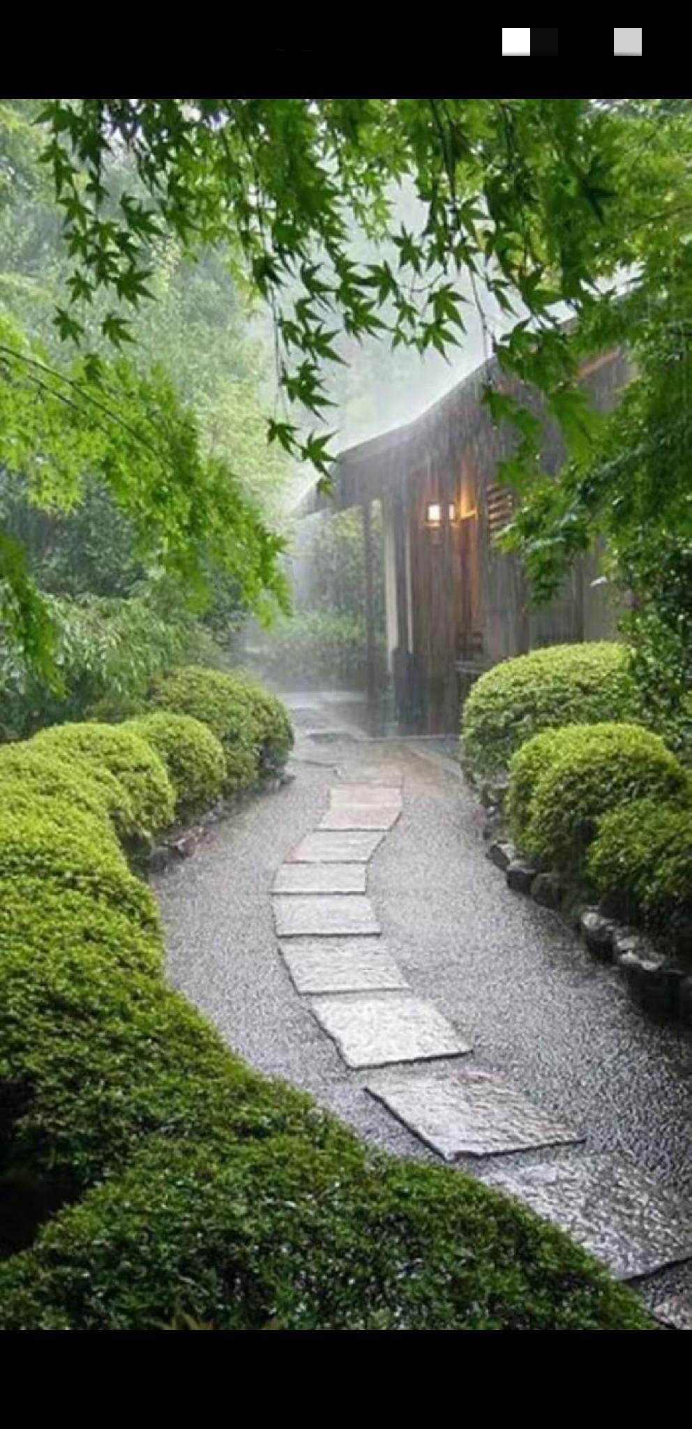[燃烧的心]春雨[燃烧的心]
细雨飘悠浸草绿，
微风拂面翠竹新。
润物无声奇景现