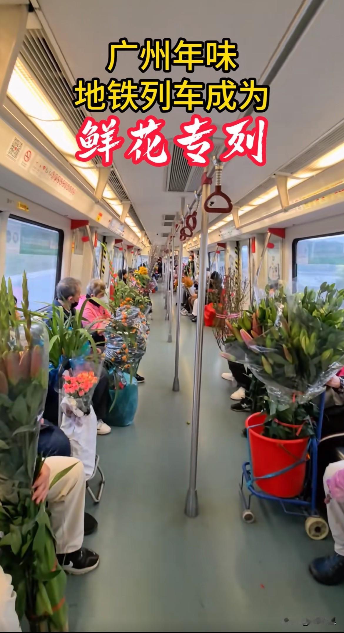天南地北大拜年广州的花城名号可真不是白叫的！在中国人的年味中，广东人是最爱买花来