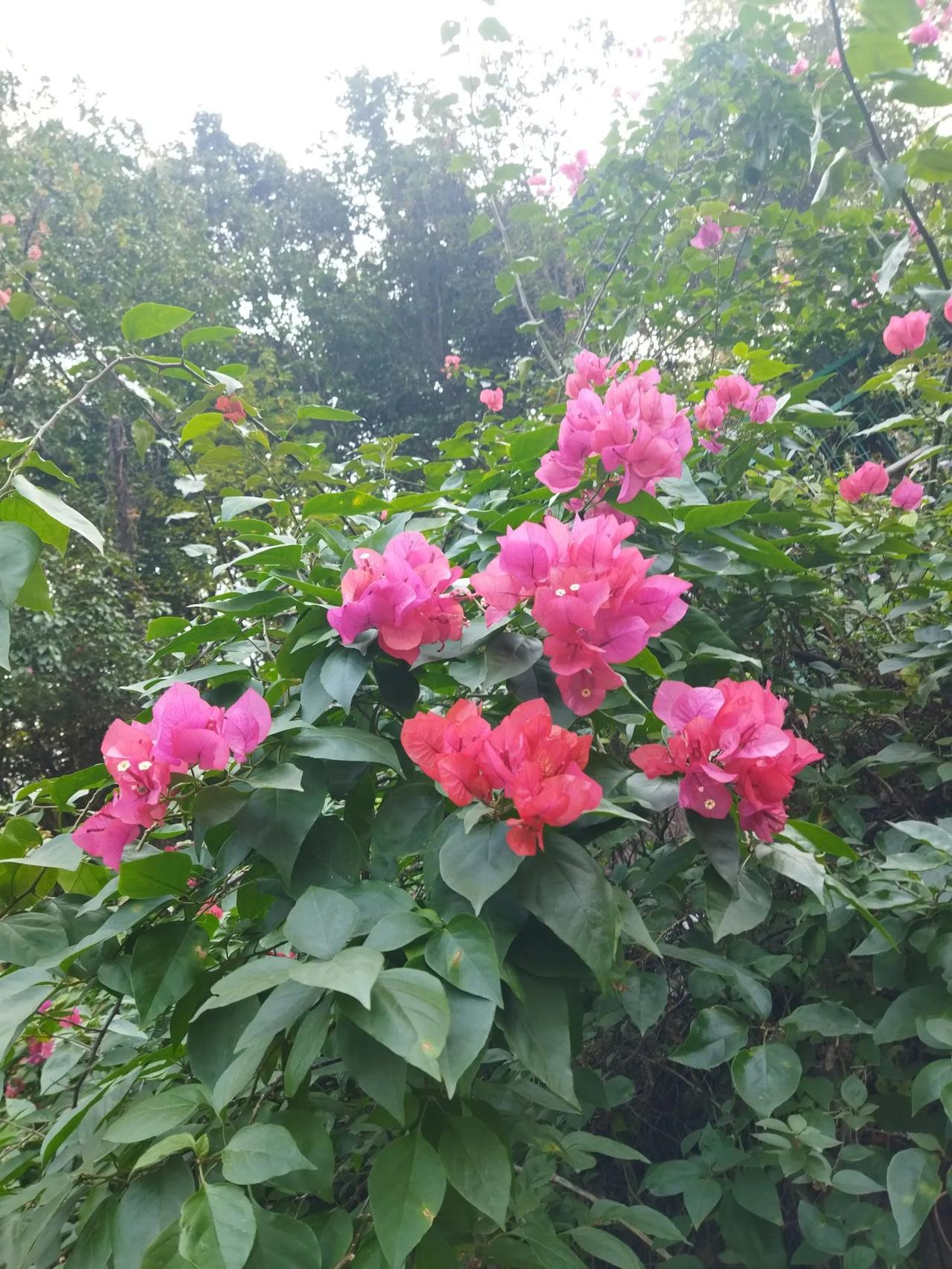 冬日生活打卡季有个好身体很重要。