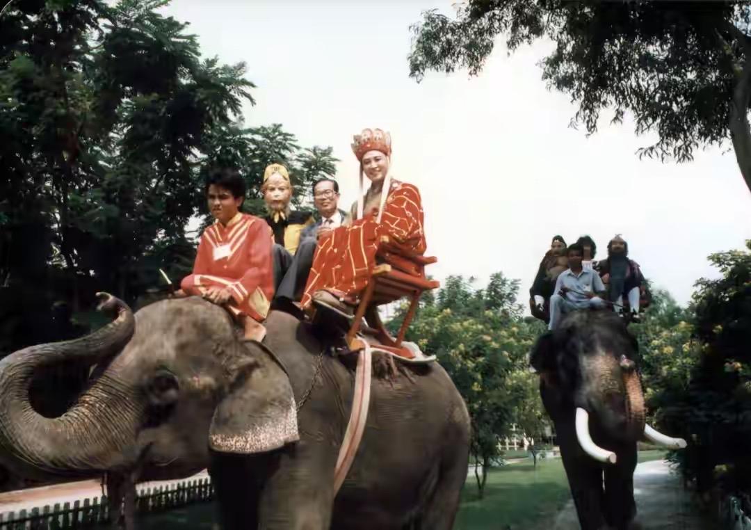 86版《西游记》陪伴了几代人的童年，每年重播都有人看。不管过多少年，这些经典镜头