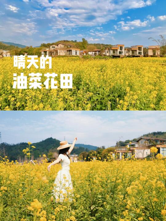 📍清远民宿 | 超出片的宝藏的油菜花田