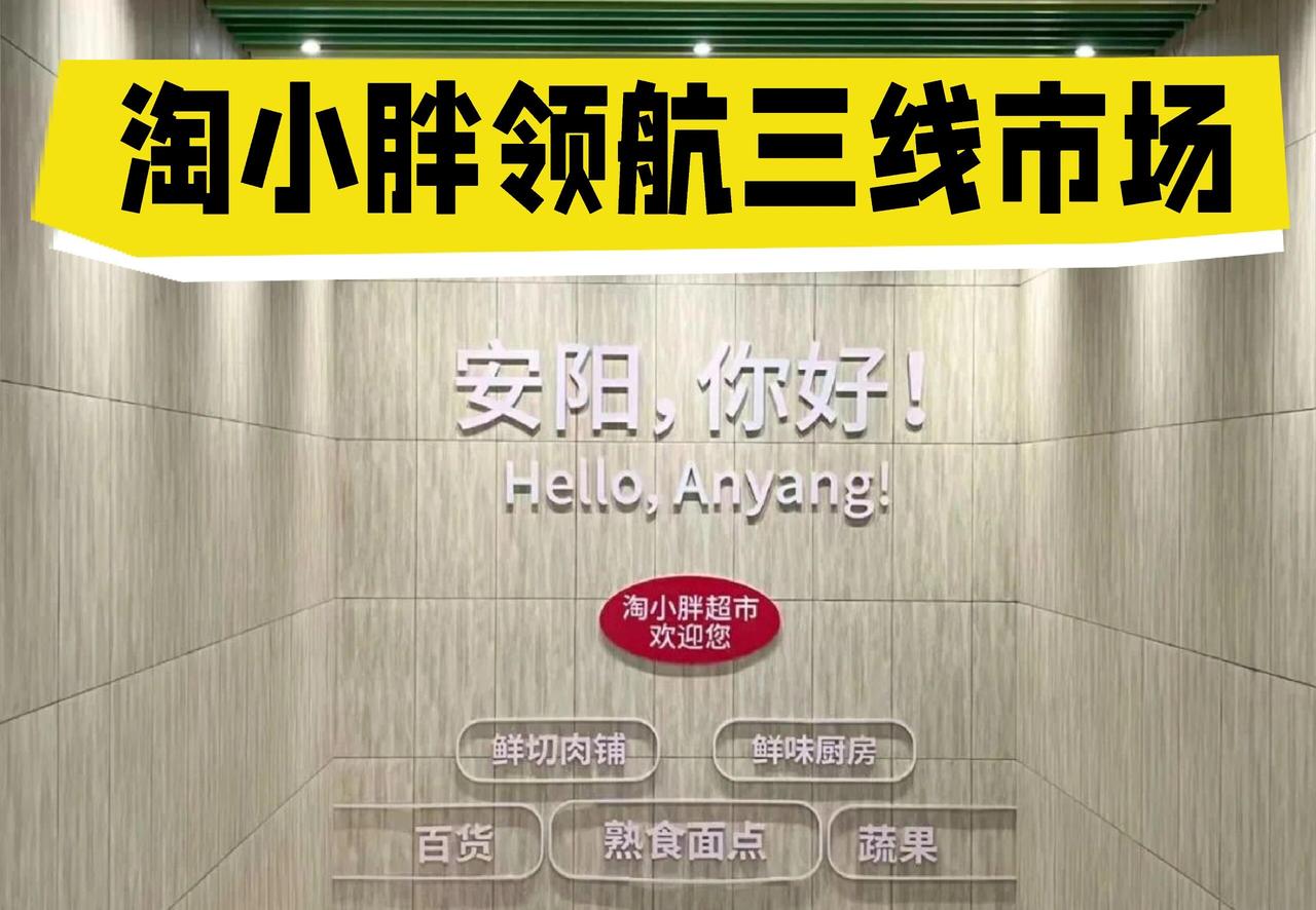 你看这家叫淘小胖的超市挺有意思。创始人是胖东来的前总经理，所以你能在店里看到不少