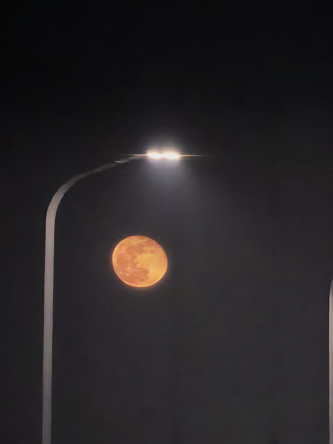 今晚的月亮又圆又大又有点红。 