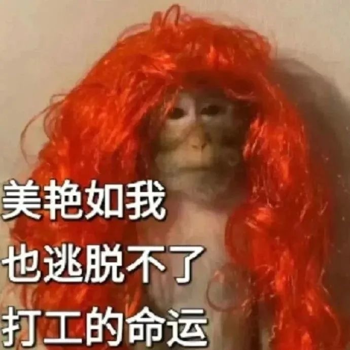好浓的班味表情包 ​​​