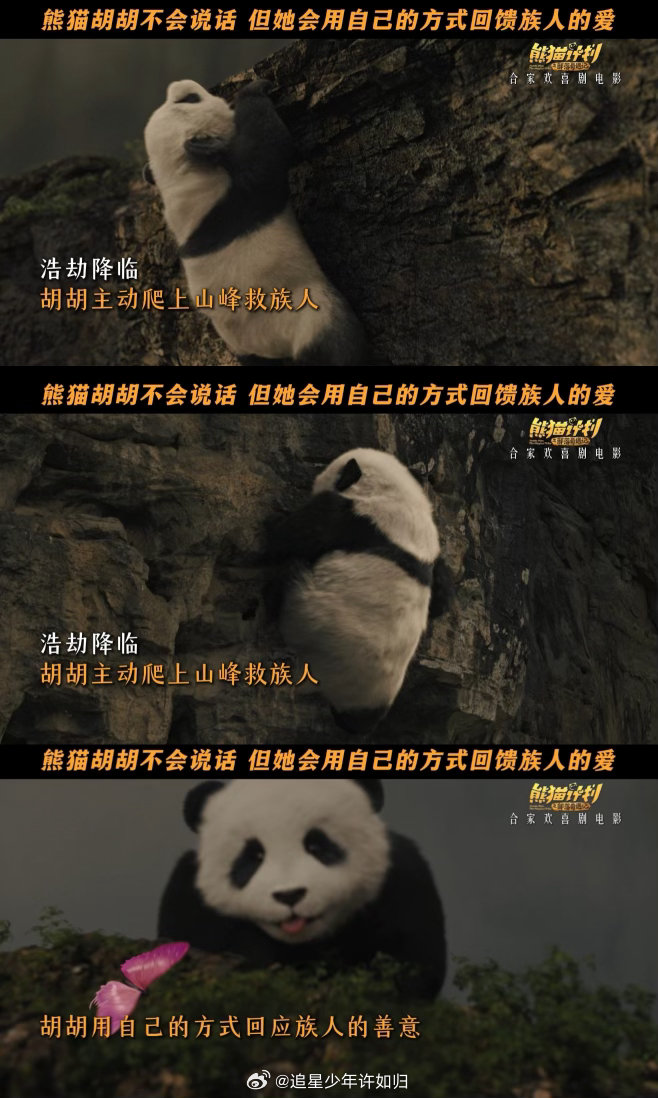 爱是笨拙又真诚的奔赴 胡胡刚到部落时怯生生的，后来慢慢敢闹敢跑敢撒娇，是因为有人