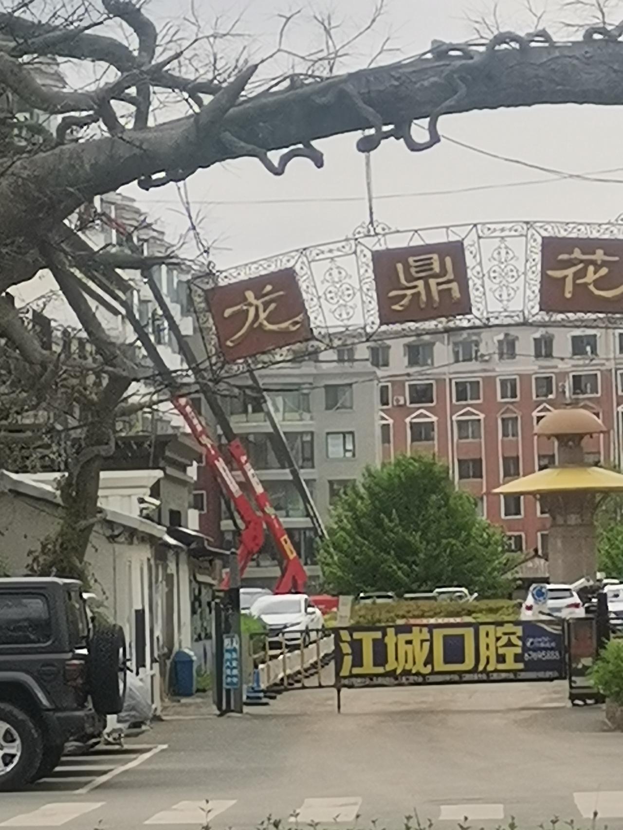吉林市龙鼎花园已全面开启改造工程，期待这座昔日的豪宅小区实现蜕变。

今天路过吉