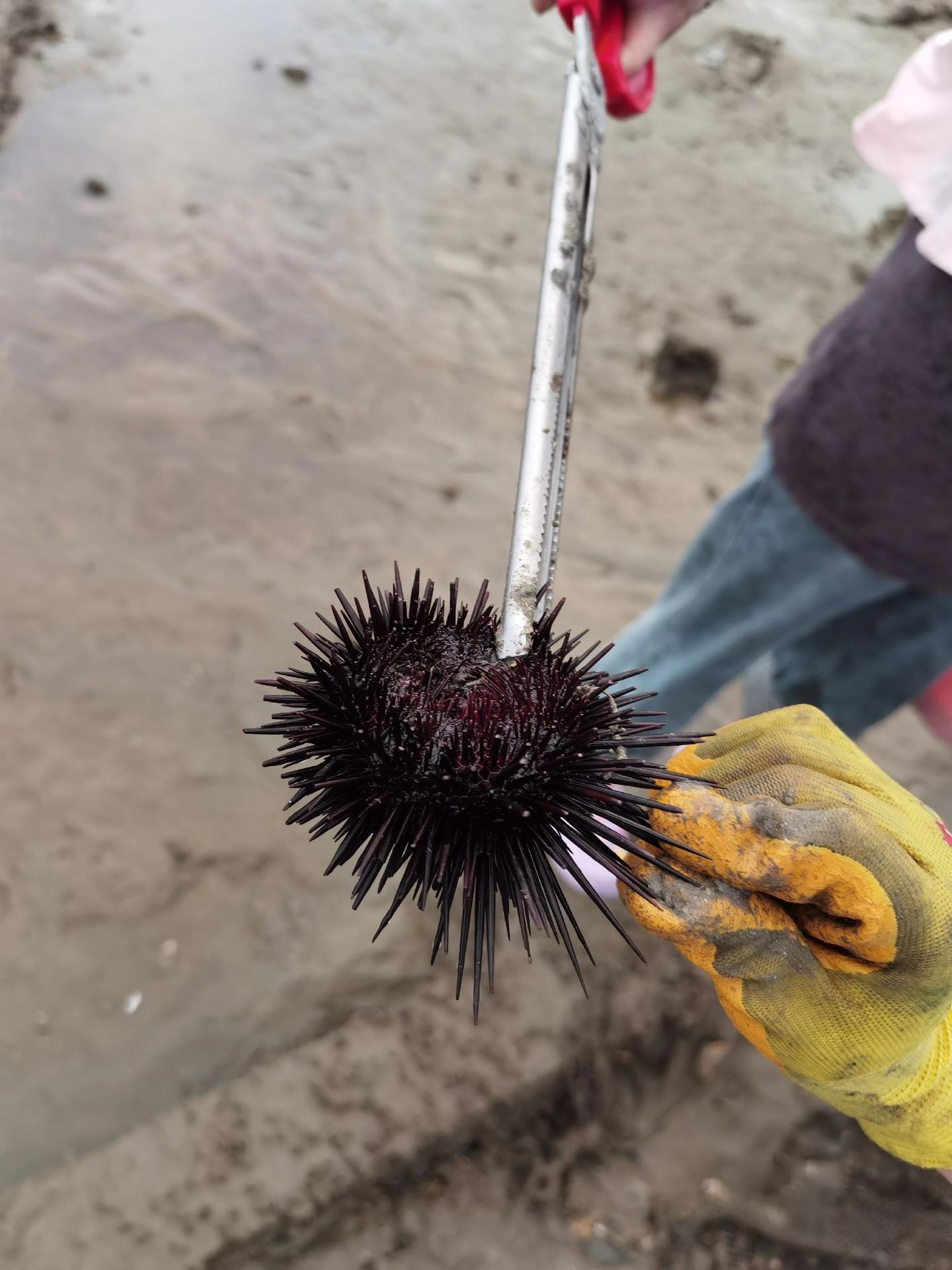 🌊【五一平潭赶海防坑指南】🦀 。📅蹲潮汐表+🕔凌晨起床+👩?...
