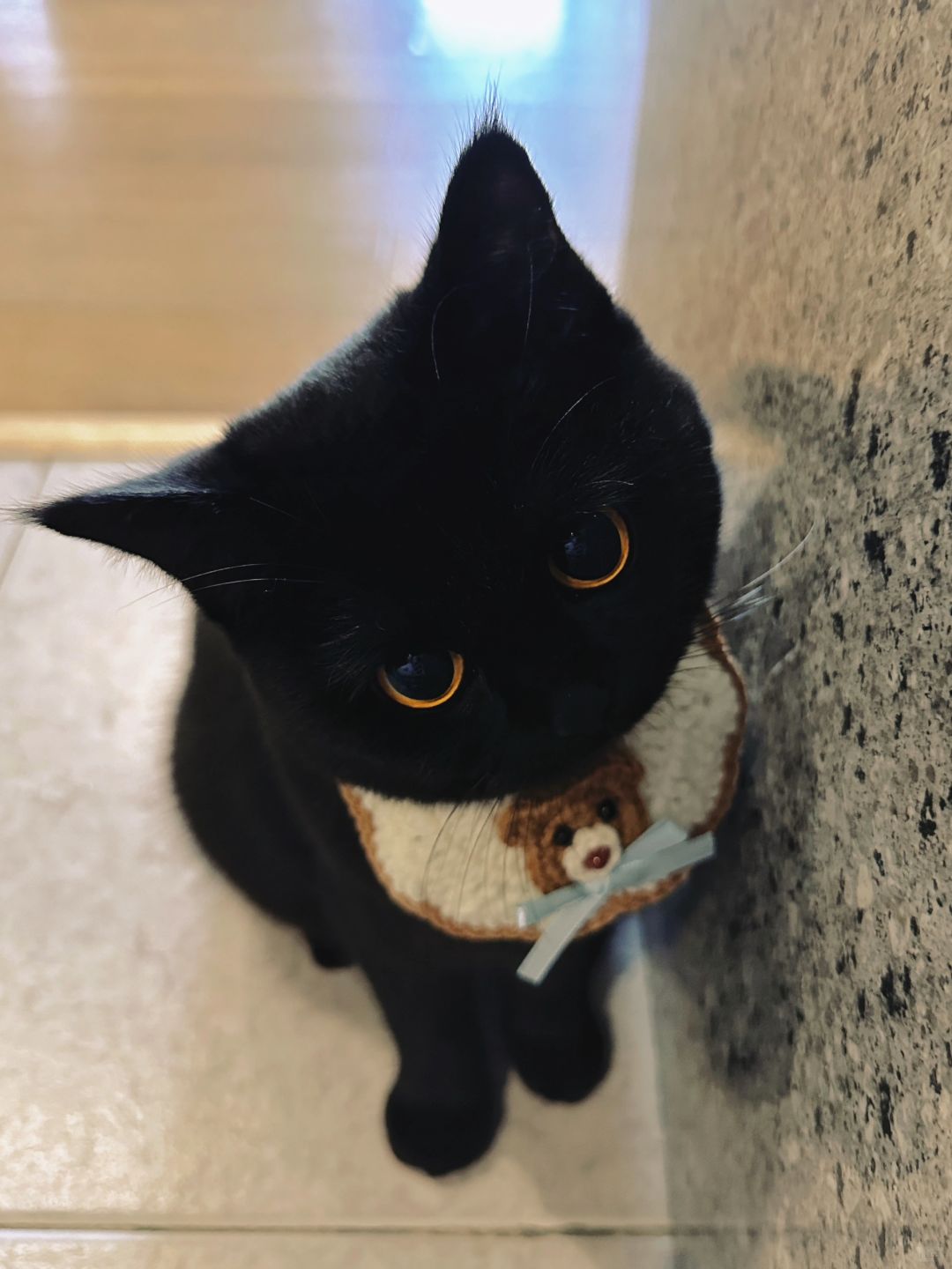 您好 请问您看到我的小熊了嘛