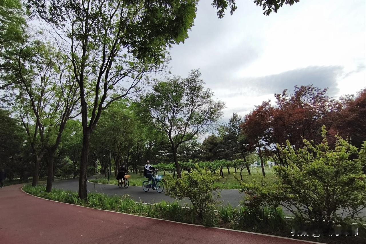 五一下午，东坝公园溜弯，空气清新，槐花飘香，鸟展歌喉，满眼都是青青的绿。
没有热