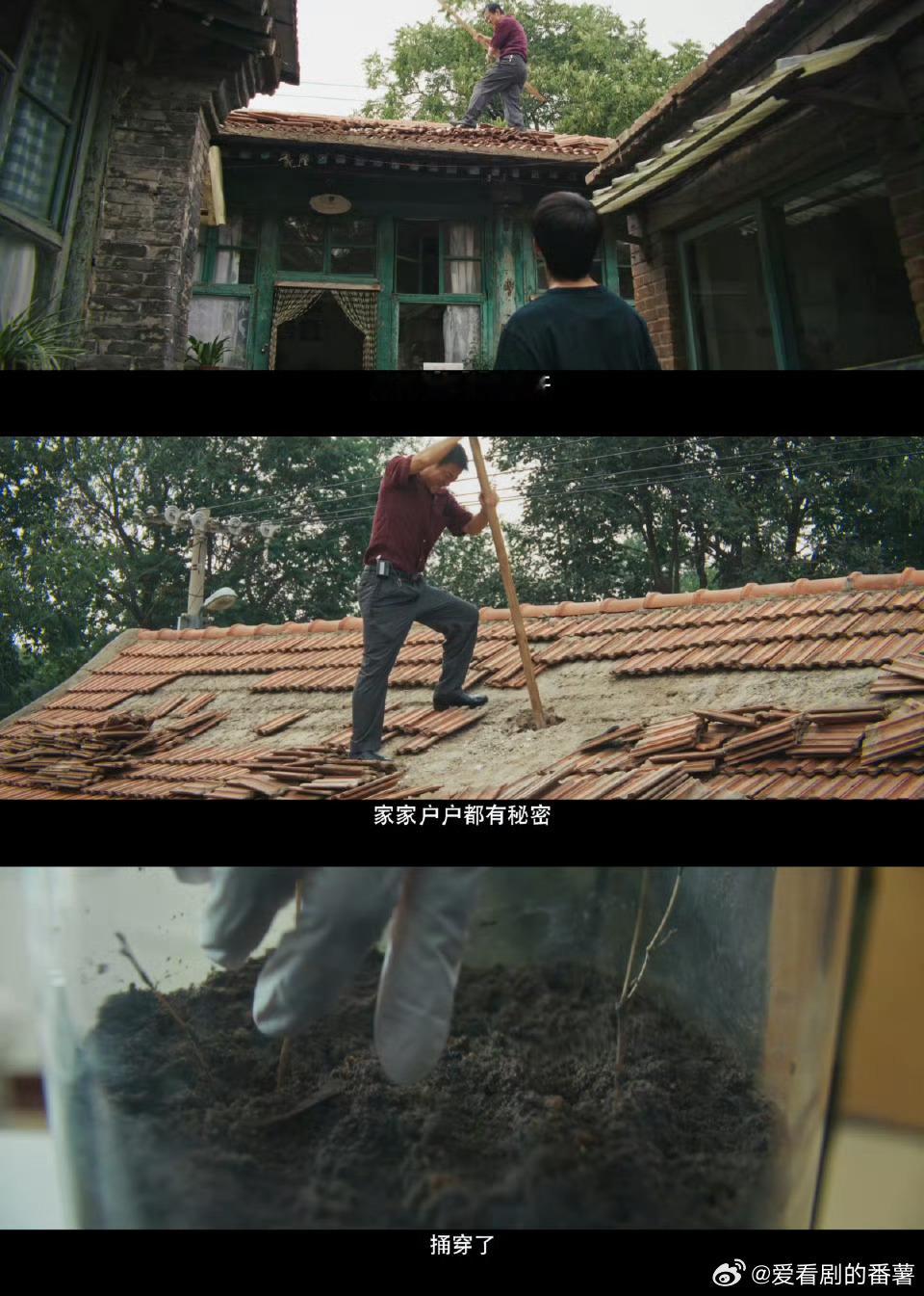 树影迷宫定档树影迷宫井底女尸？熟人作案？这悬疑剧，看得我热血沸腾！预告片里的悬疑