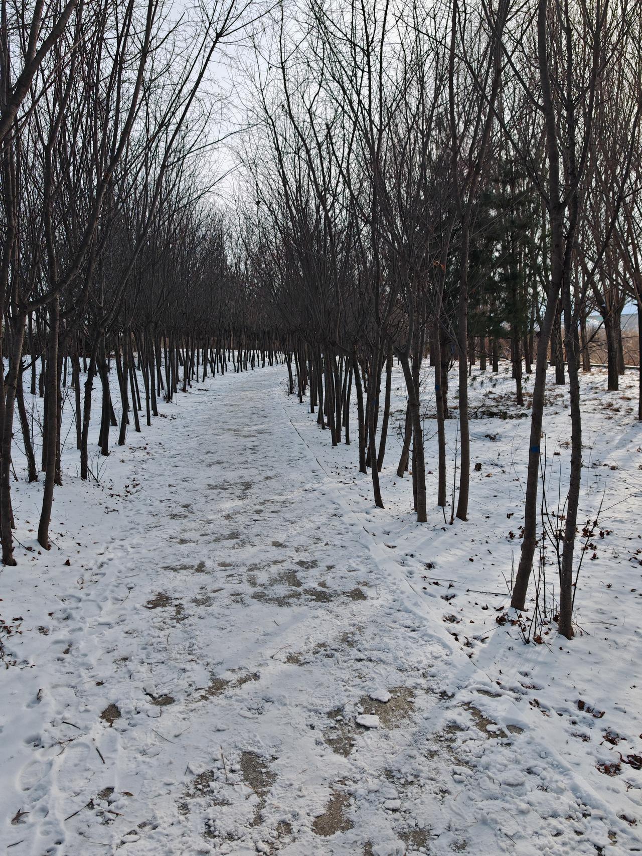 与痛风斗争的历程96
 
   早上起床，天气晴朗，浑身各关节顺畅，没有不舒服感