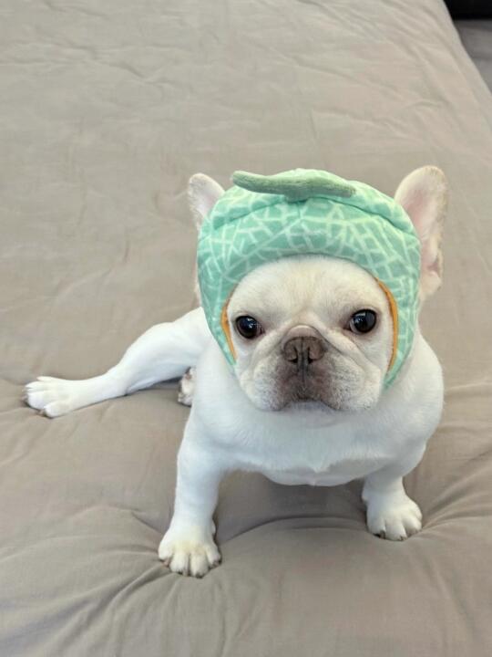 Baby我们的假期好像跳楼机～