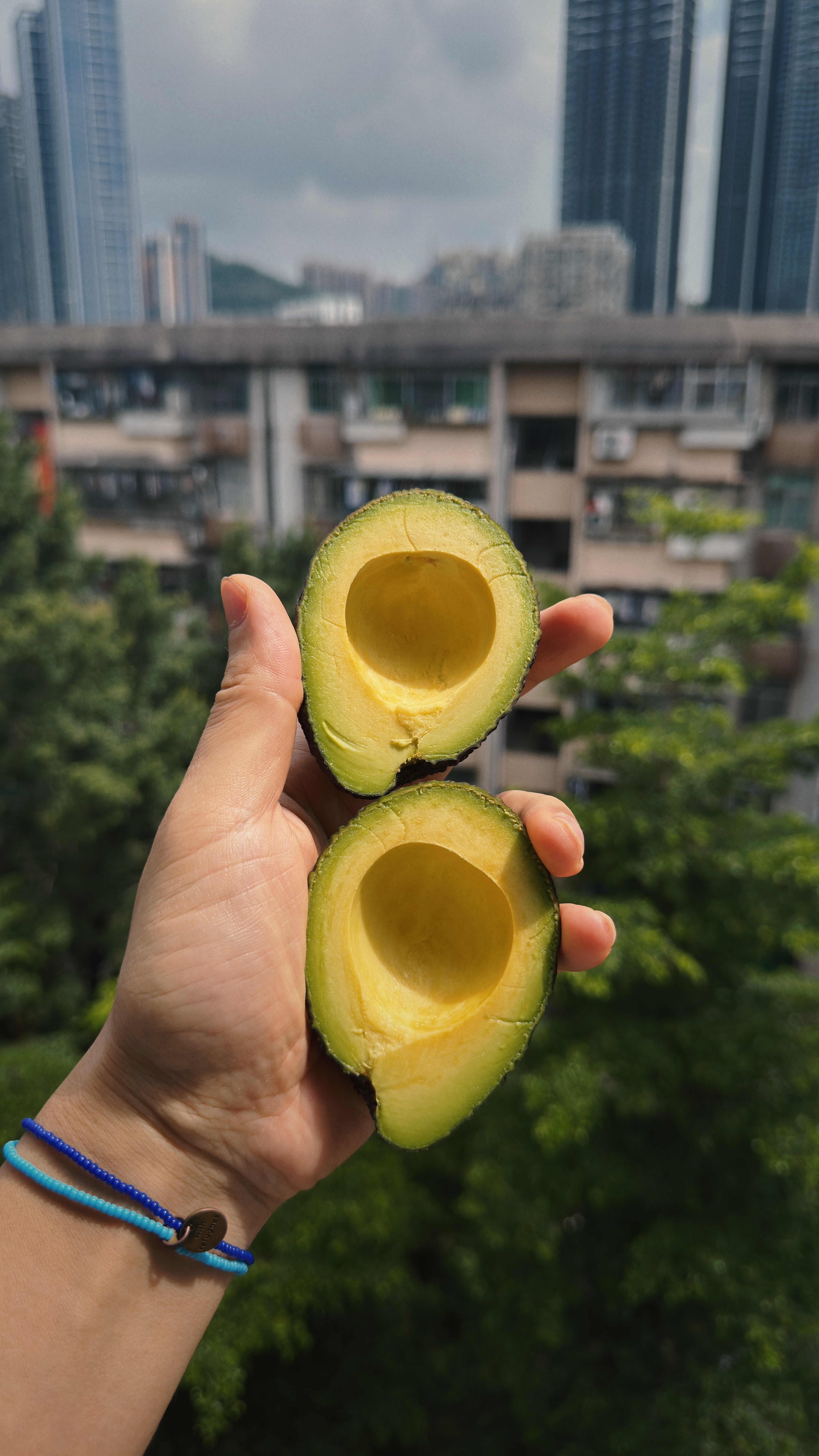 在开牛油果这一块儿罕逢敌手。 