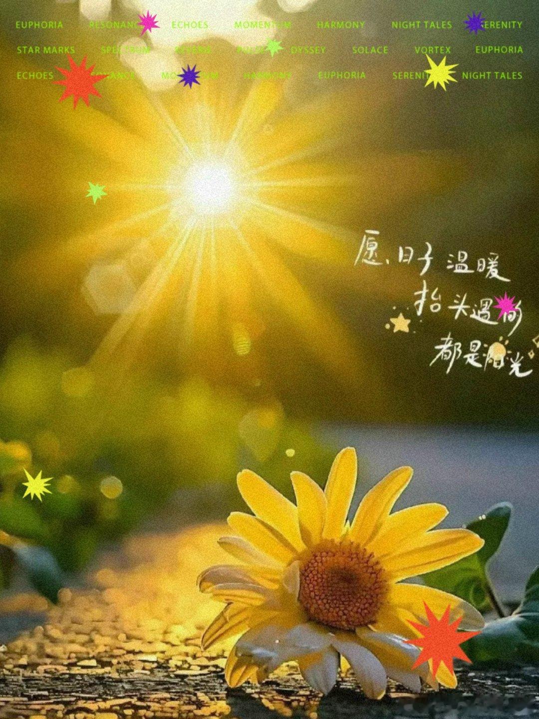 三个观点 我们10月下旬提出的【冬季整固调整】    有提前结束的迹象    2