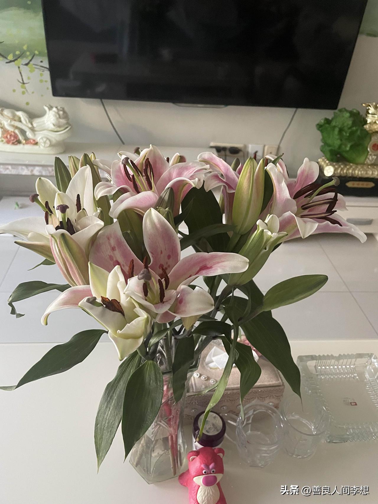 满屋飘香！女儿买了百合花，昨天取回来就插上了，今天满屋飘香！

我喜欢鲜花，但让
