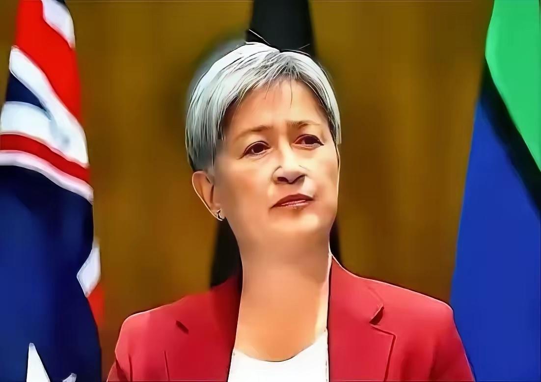 澳大利亚外长被彭博社主持人一句话怼得支支吾吾了十几秒，网友们直呼精彩！

7月2