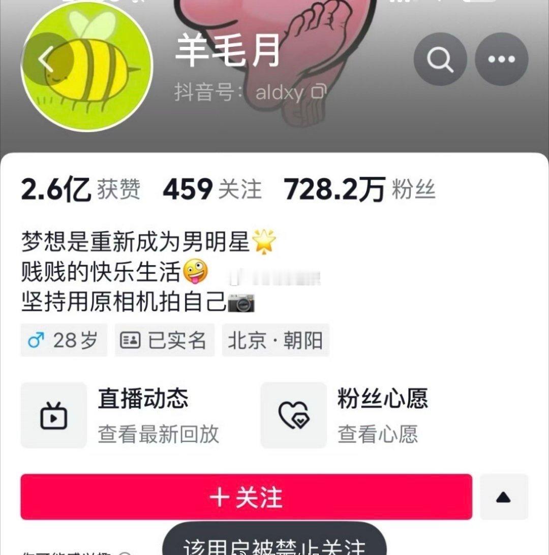 好消息：羊毛月账号已经禁止关注了！ 