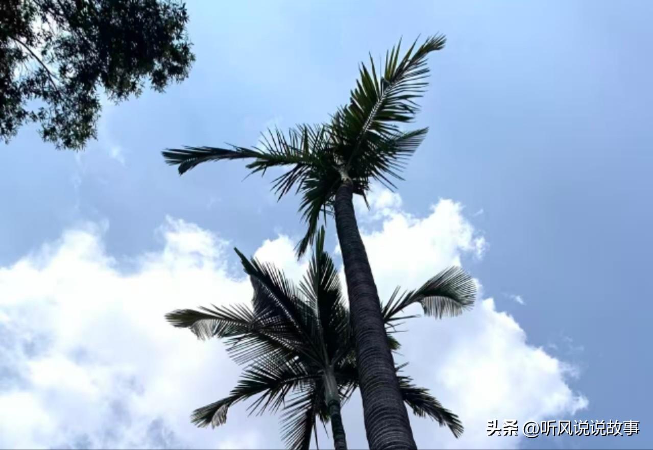 喜讯往往在不经意间降临。嗯，努力有点用，我说的是全力以赴的那种。
​然而，站在企