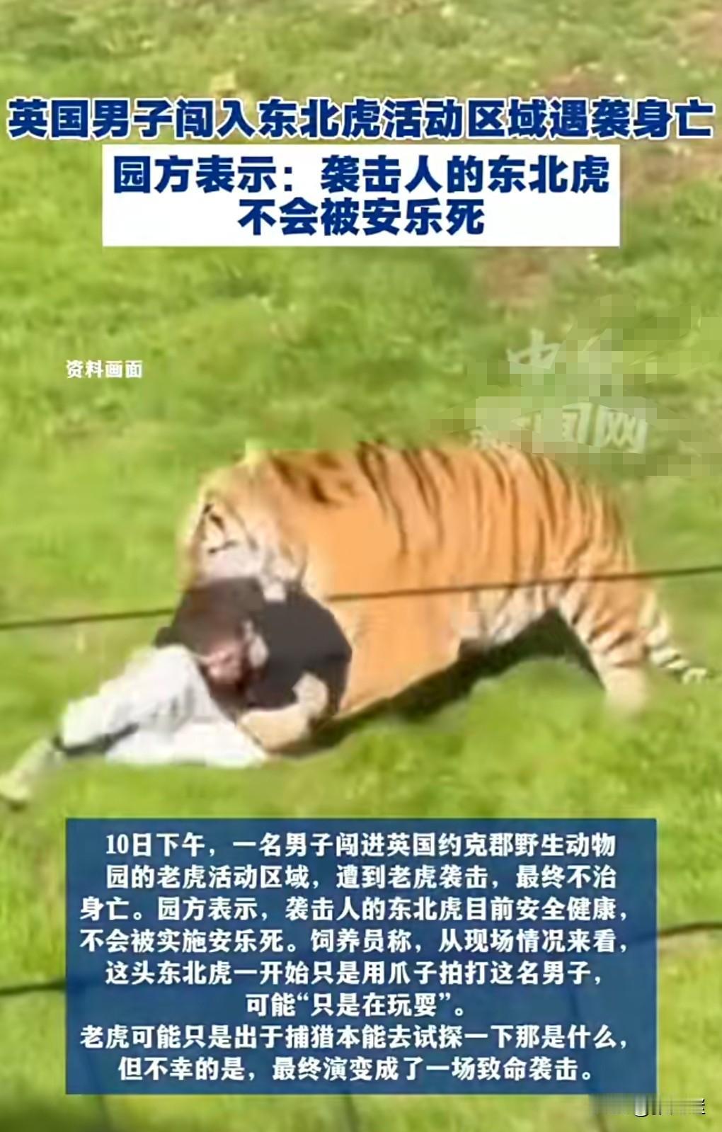 这个肯定不关老虎的事，毕竟老虎在自己的领地袭击人类，那是出于本能。

近日英国一