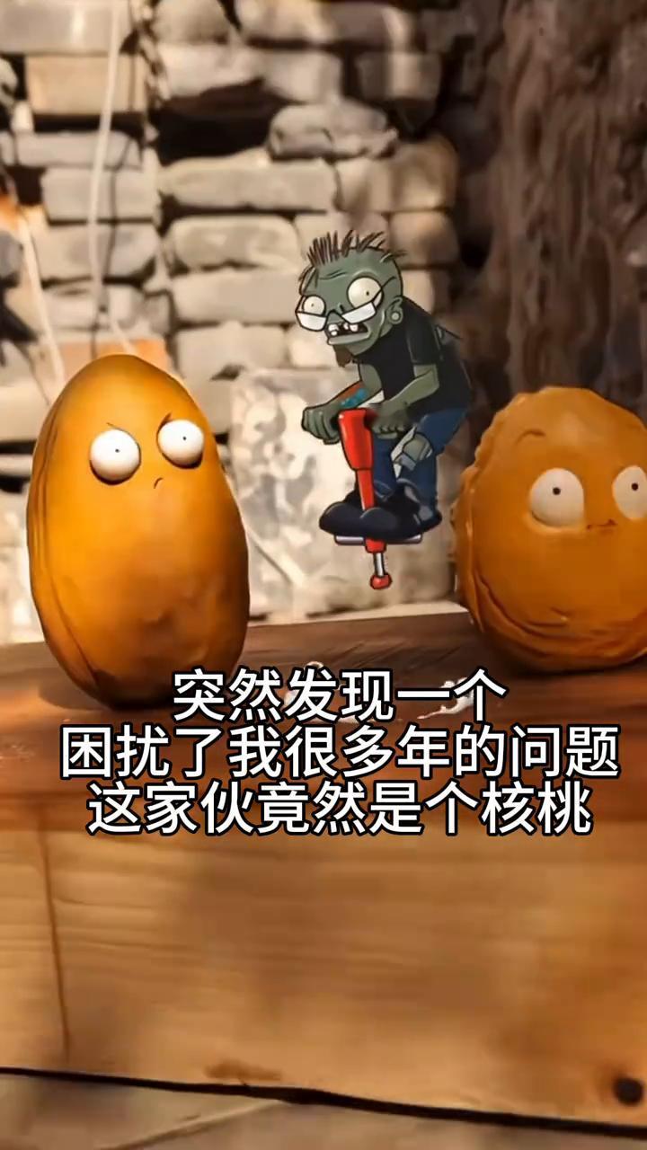 突然发现一个困扰了我很多年的问题，这家伙竟然是个核桃。啊！
