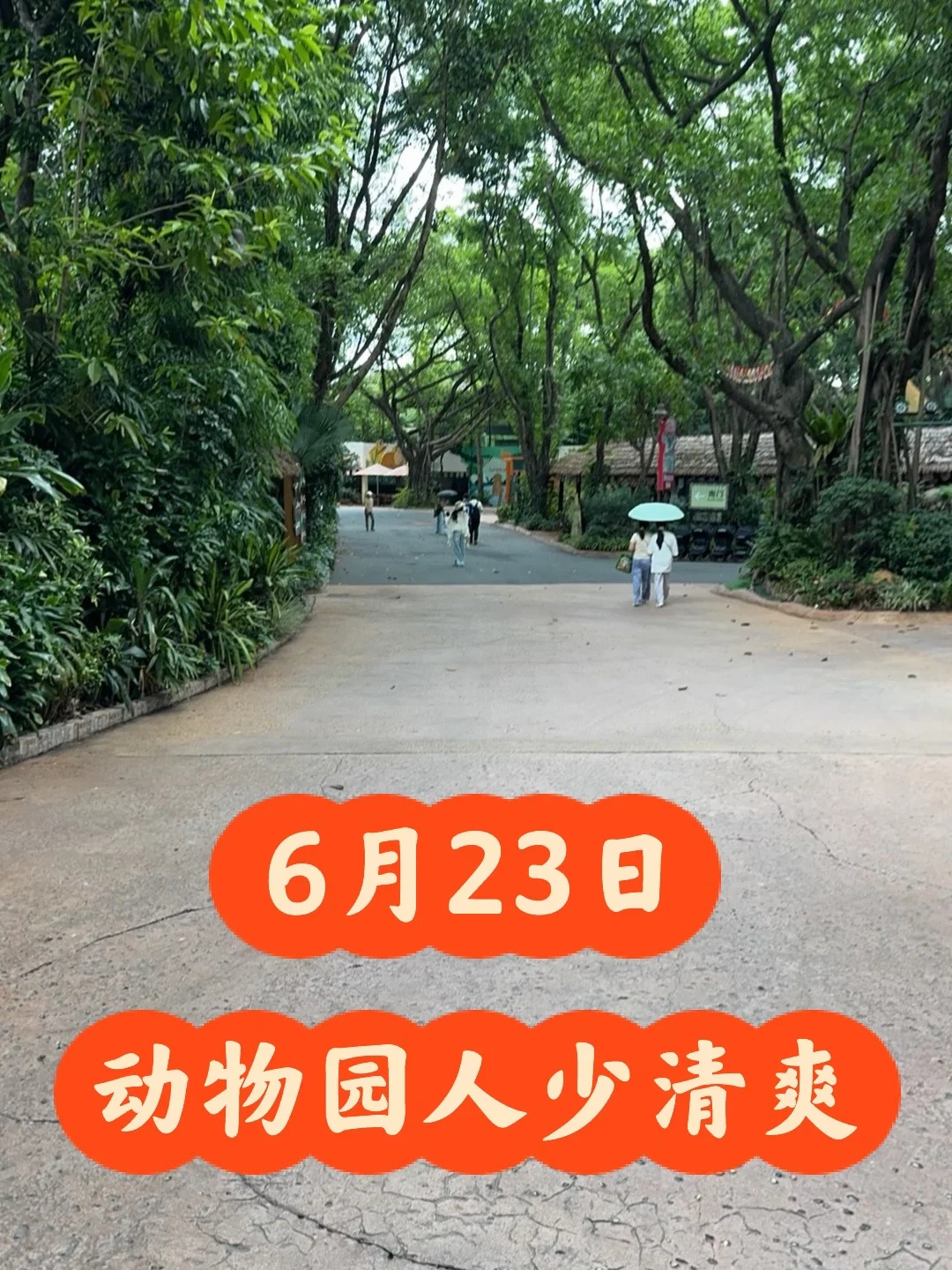 长隆野生动物世界6月23日