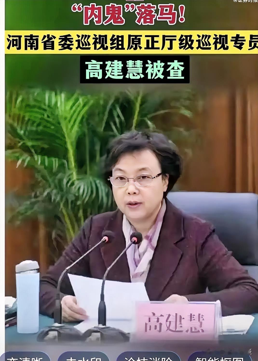 巡视组“内鬼”高建慧被双开
 
2月25日河南省纪委监委发布通报，省委巡视组原正