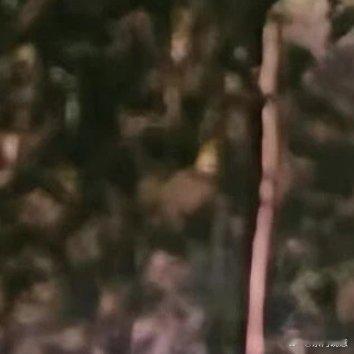 周五的朋友圈文案家人们谁懂啊，一到周五整个人都像被注入了快乐因子！“周五周五敲锣