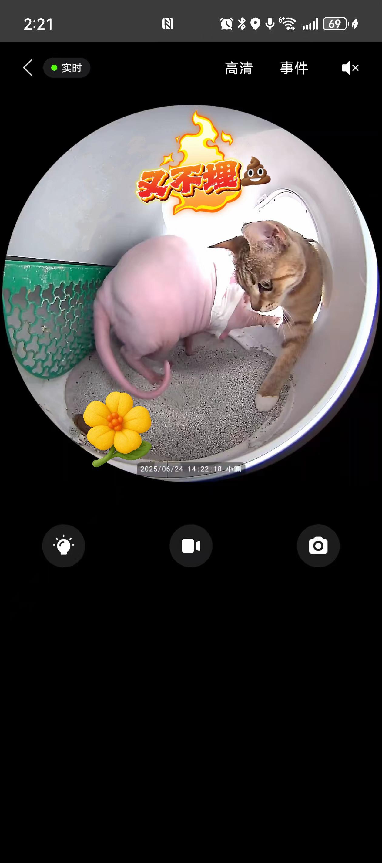 家里又多了一位操心大王🐱。虎子每天必干的活，就是看谁拉💩不埋，赶紧...