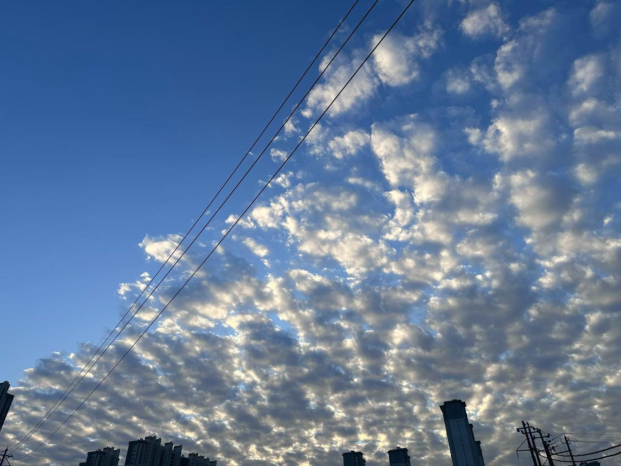 蓝天白云，好天气！