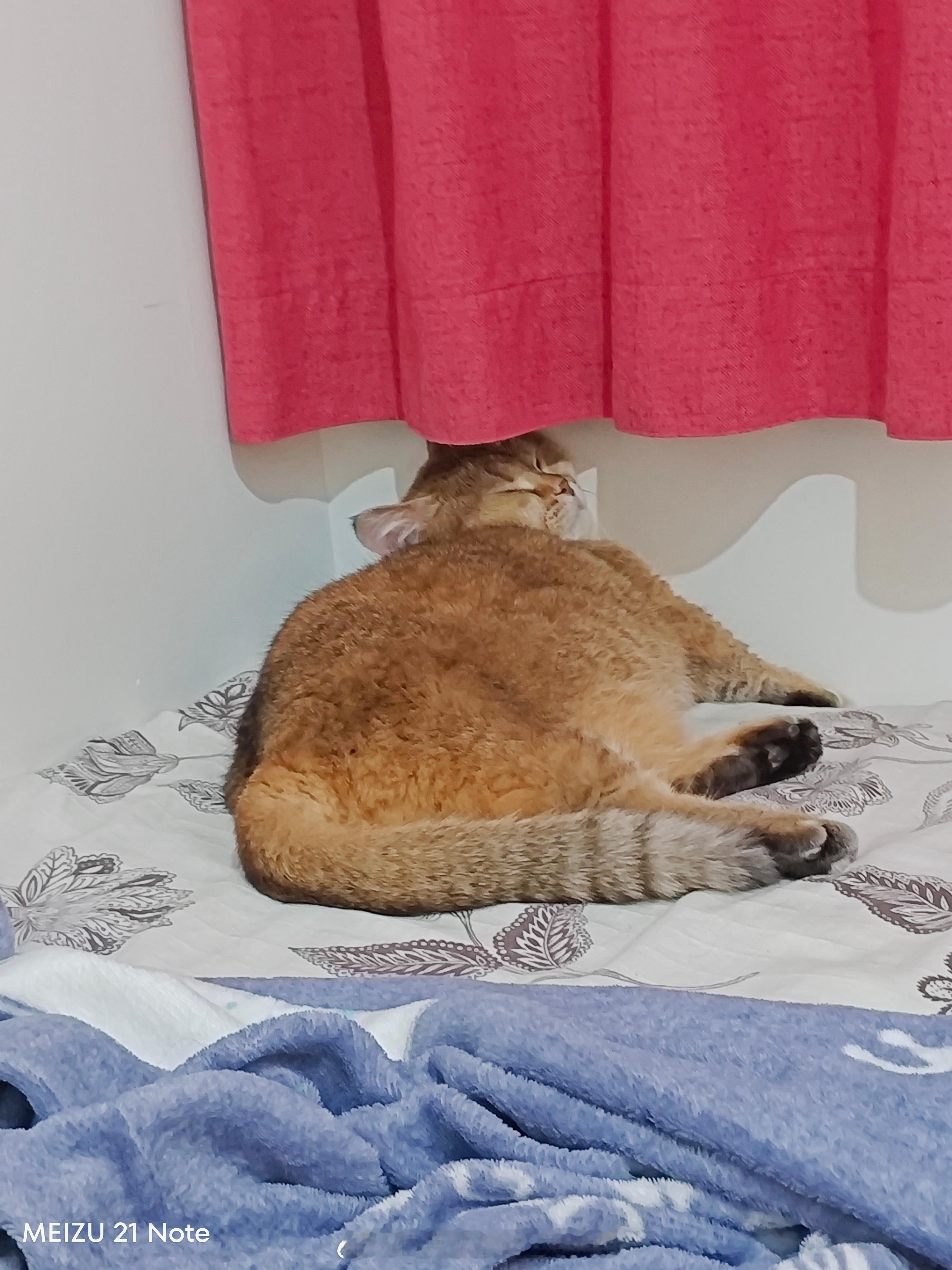 宝，会不会睡落枕啊 ​​​