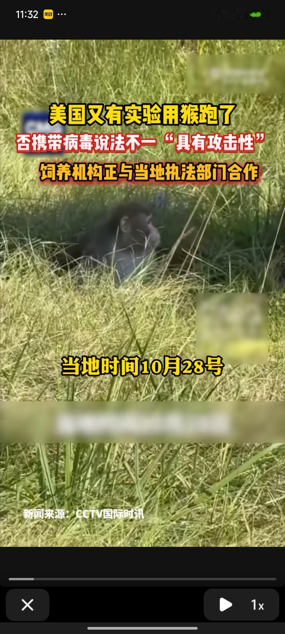 美国实验室用于实验的猴子，在运输途中跑了，具体跑了多少只并不清楚，目前仅抓到一只