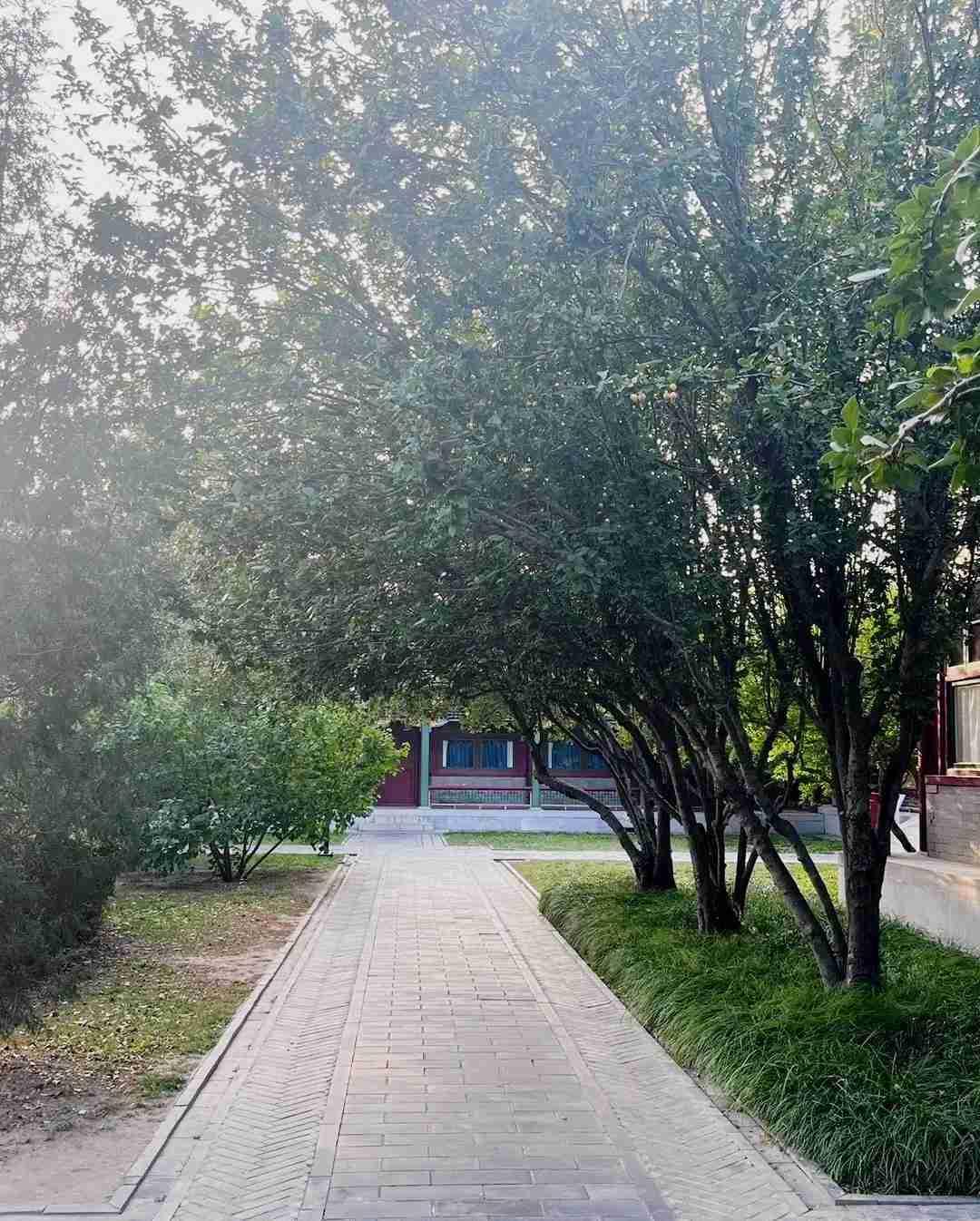 我的今日状态：💰期待暴富
我这里的天气：🌤️多云