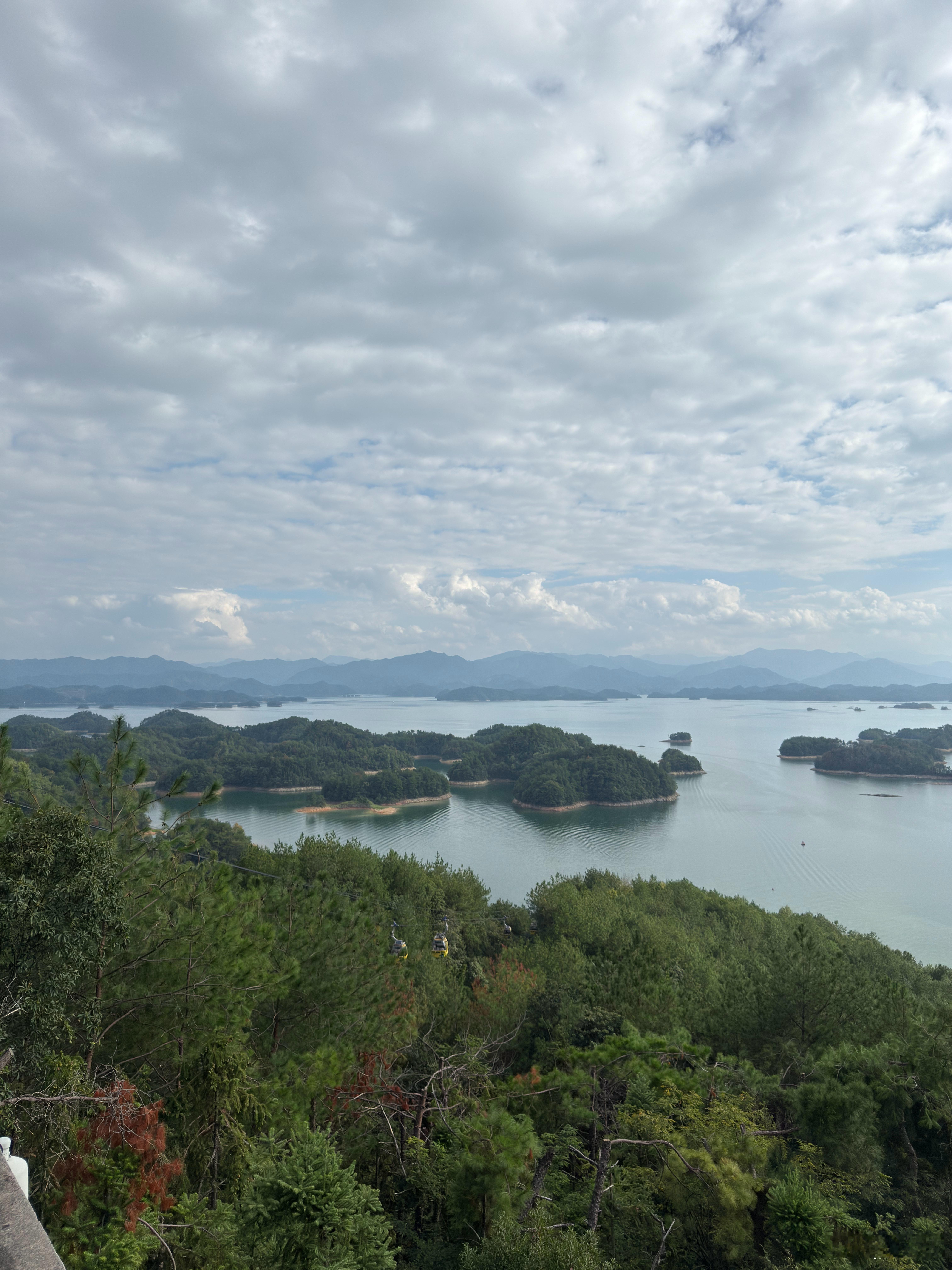 最近看到的一句话：讨厌你的人会格外关注你 因为他们在等着看你的笑话 生怕错过了情