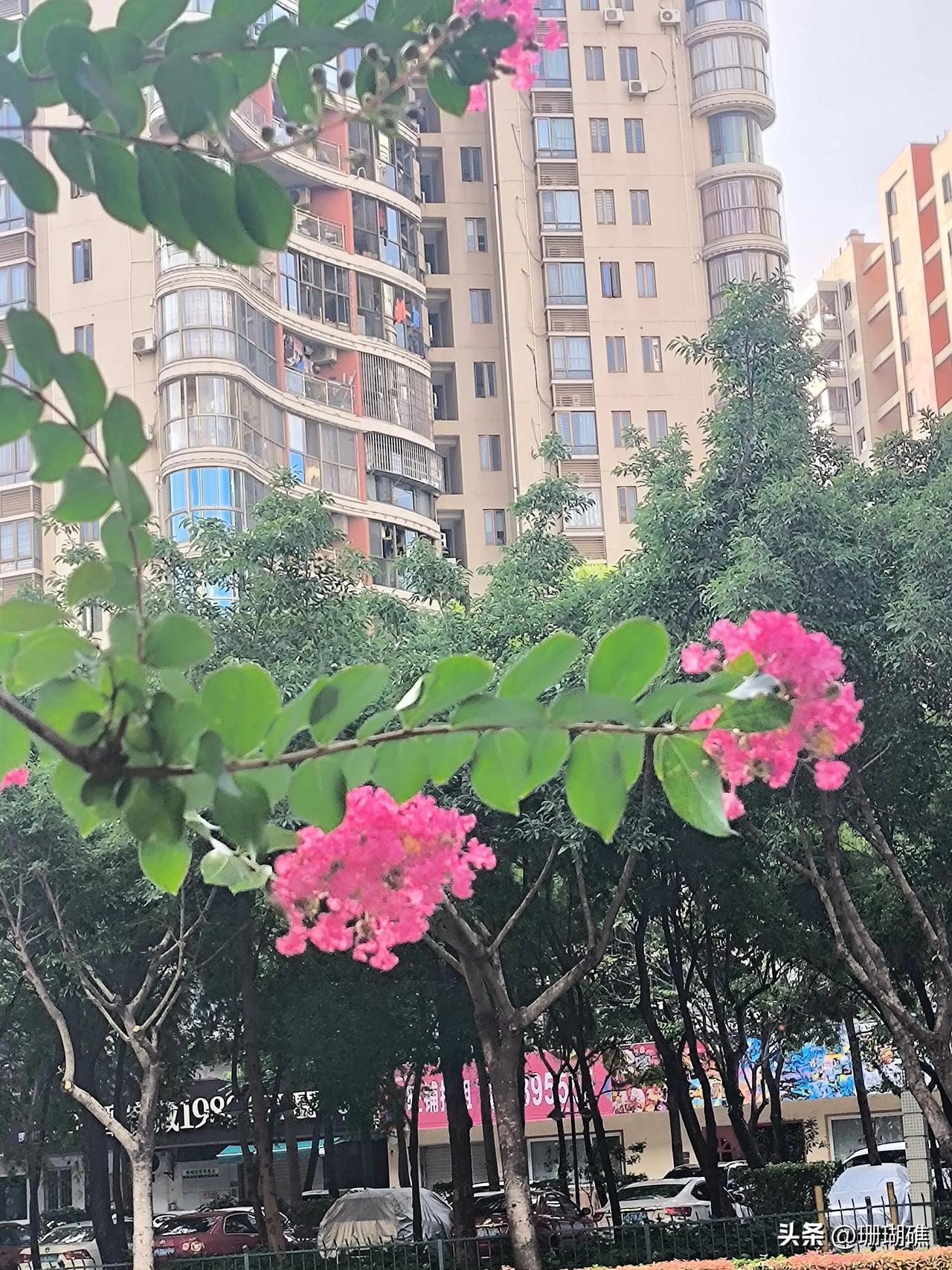 这批70、80后的女人啊，说起来真是让人心疼。
小时候穷，吃了上顿愁下顿；现在日