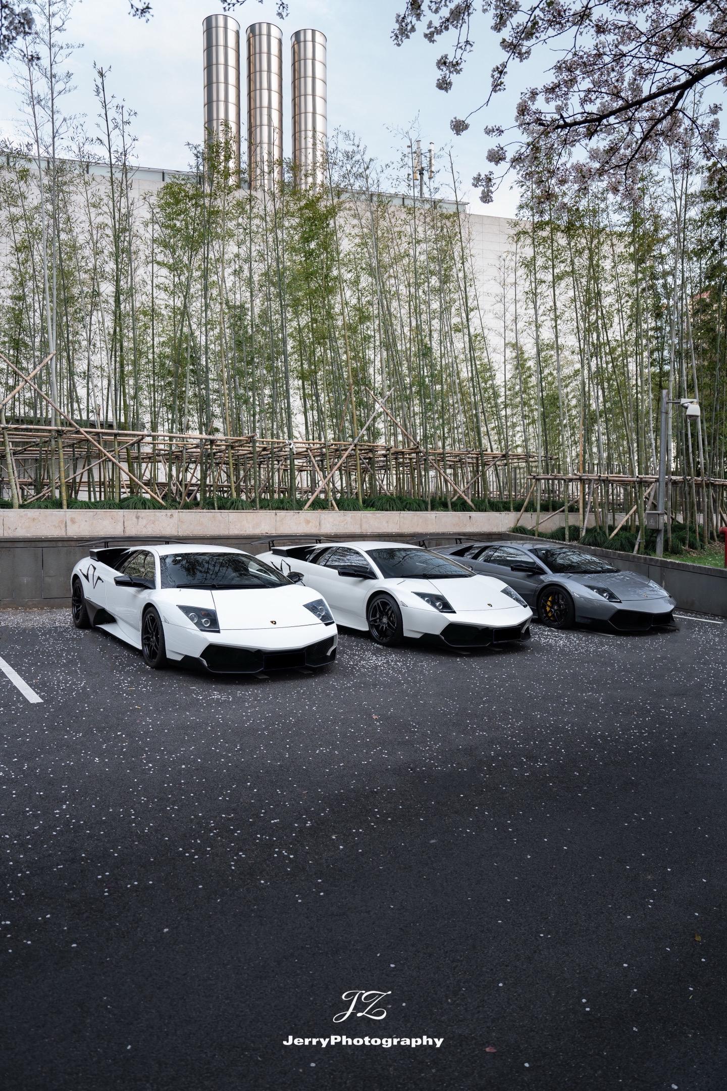 Super Veloce！！🌸。三台蝙蝠sv停在樱花树下！