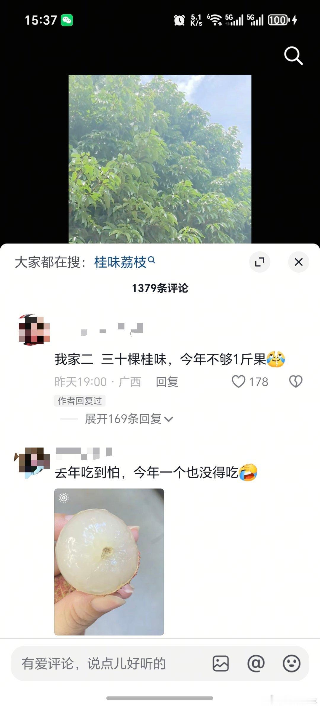 同事都说今年的荔枝特别贵，上个星期买了俩盒，花了90块，看了下是因为今年的荔枝都