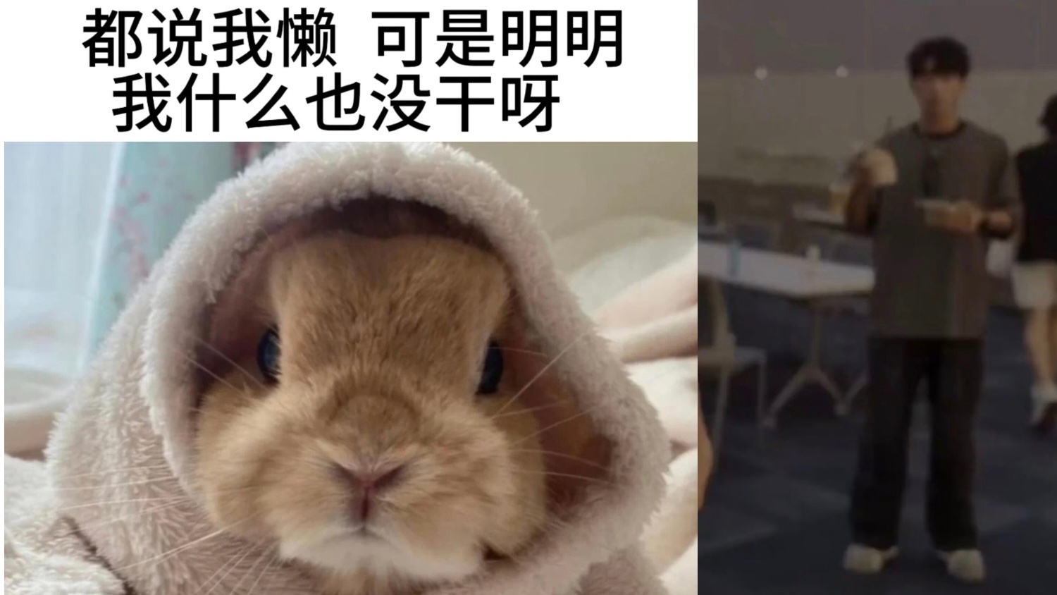 兔酱赛高，人类一派兔地 
