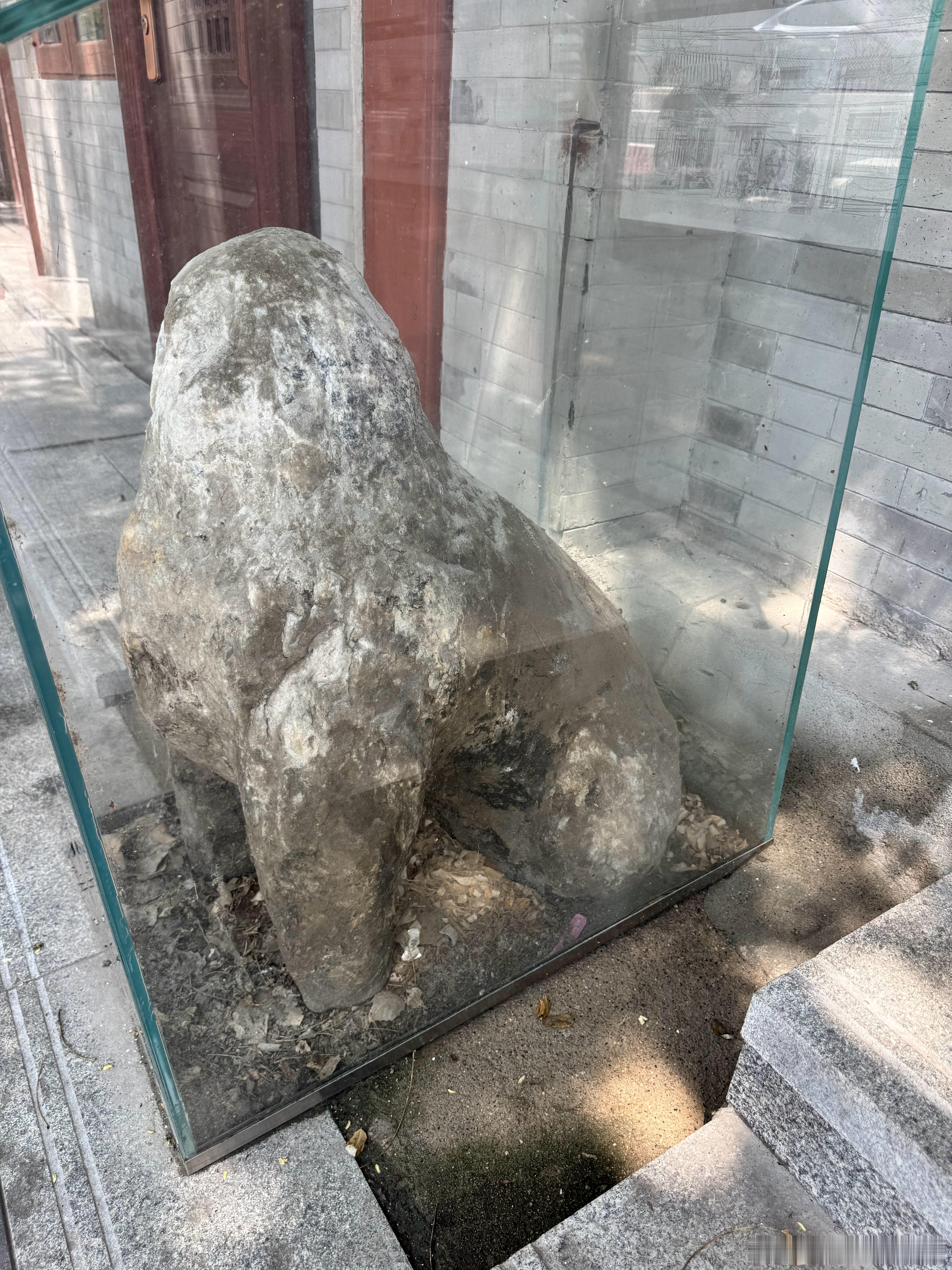 世间天地，万物皆空。唯有那些可以留下的留下了~自然文物