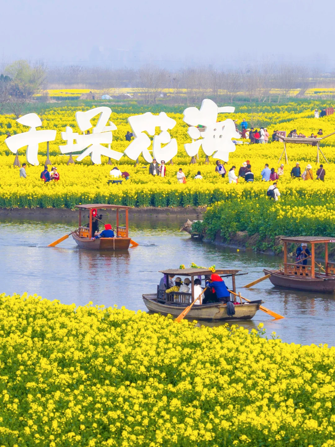 冲进兴化的春天！两天一夜，赏花、吃茶、逛老街