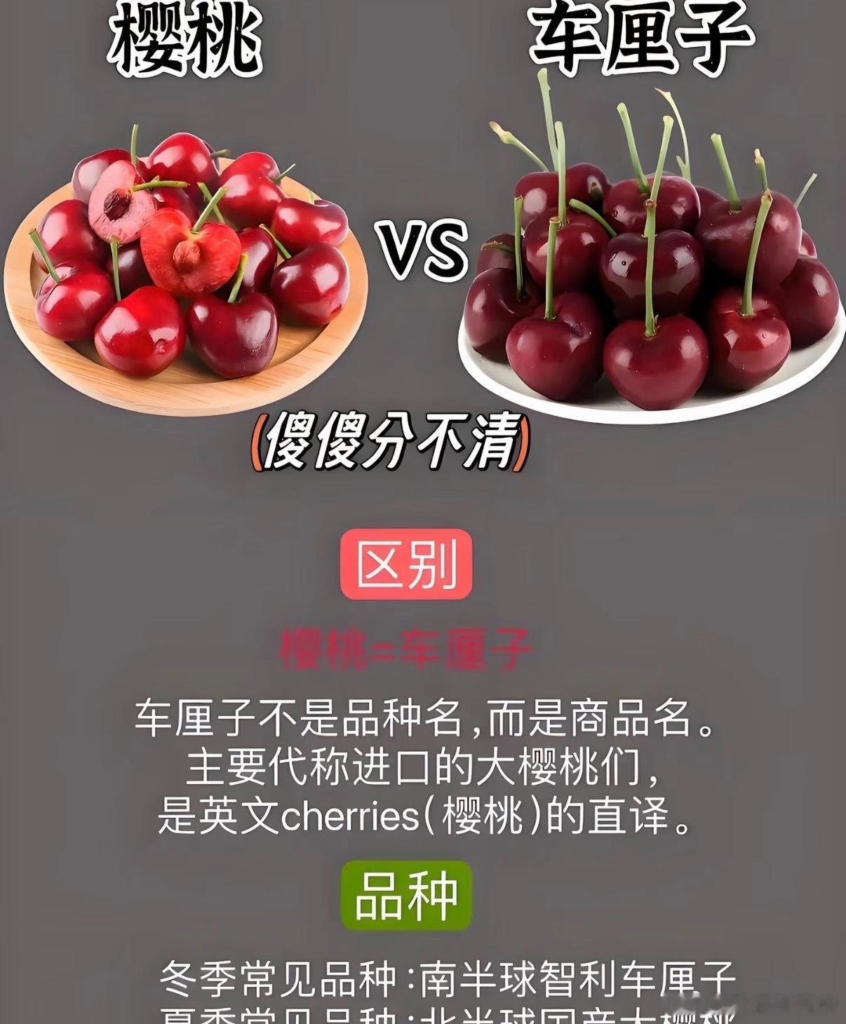 我今天才知道 车厘子就是樱桃有够白痴的