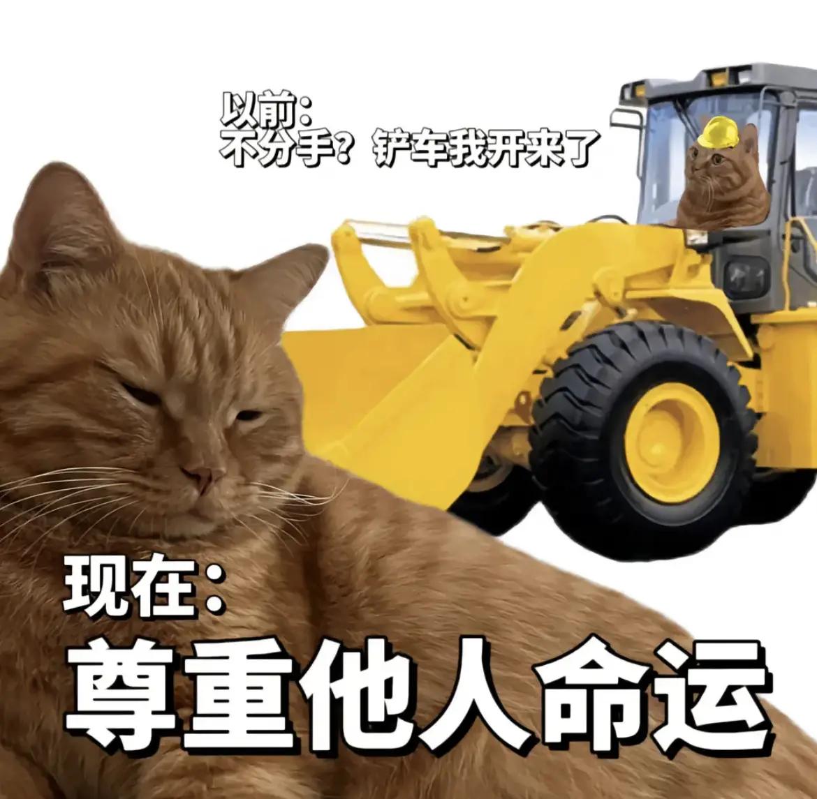 敬畏自然，尊重自己，不要轻易侵入野生动物的领地，这是对生命安全最基本的守护。