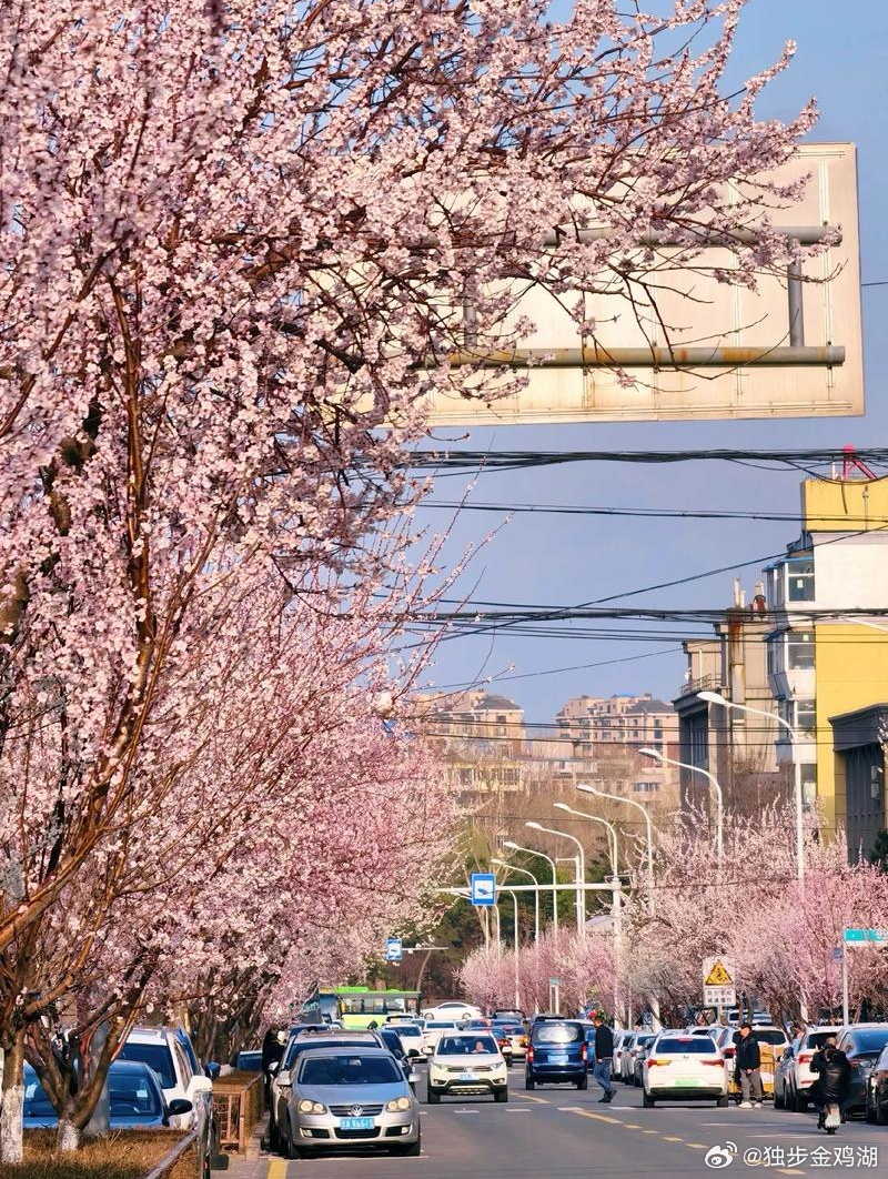 心里话           人生这场远行，重要的并非终点何在，而是每一步是否走得