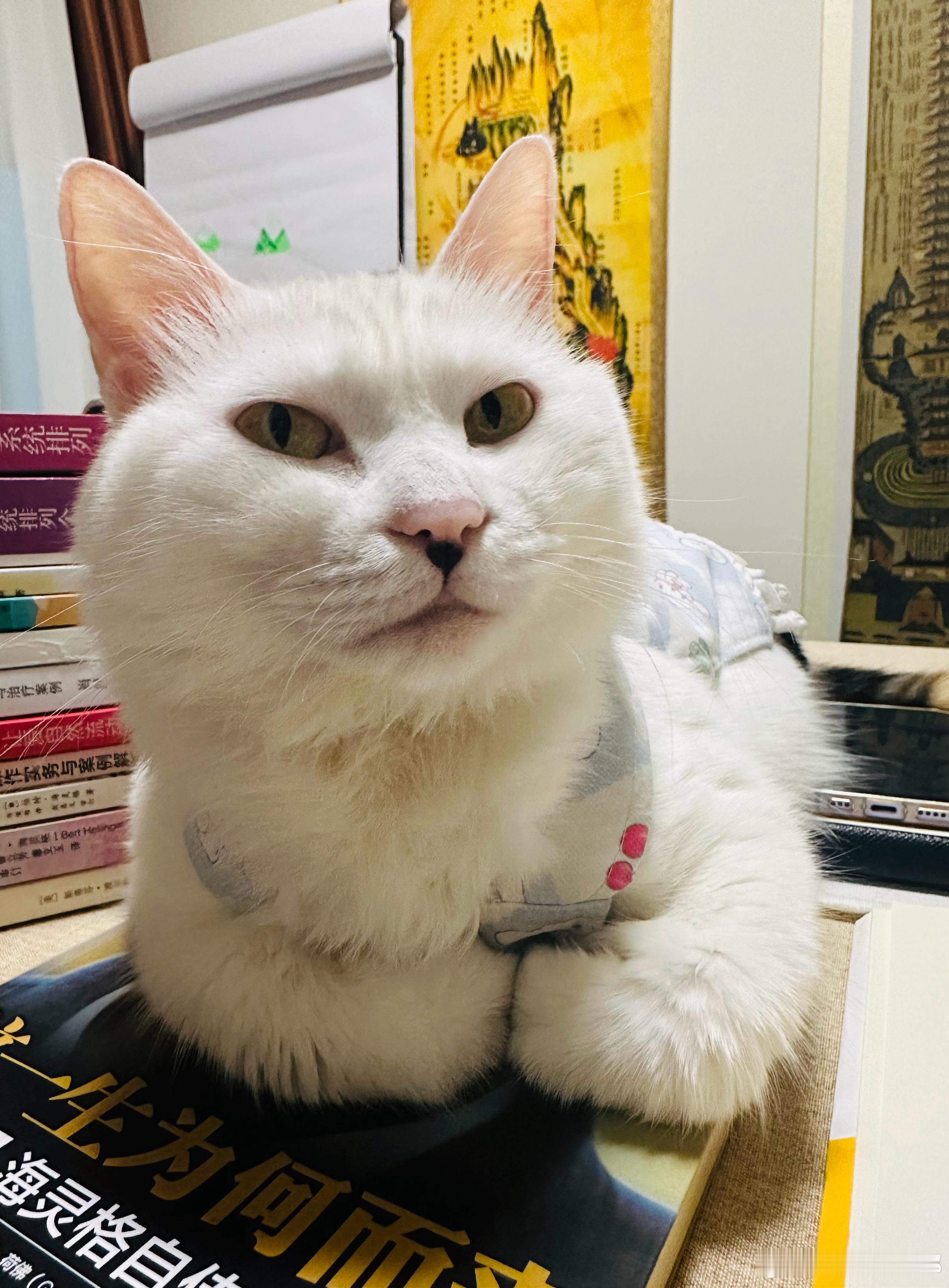 当一个人发朋友圈说“但行好事，莫问前程”的时候，那一定是缺德事做多了，而且前程茫