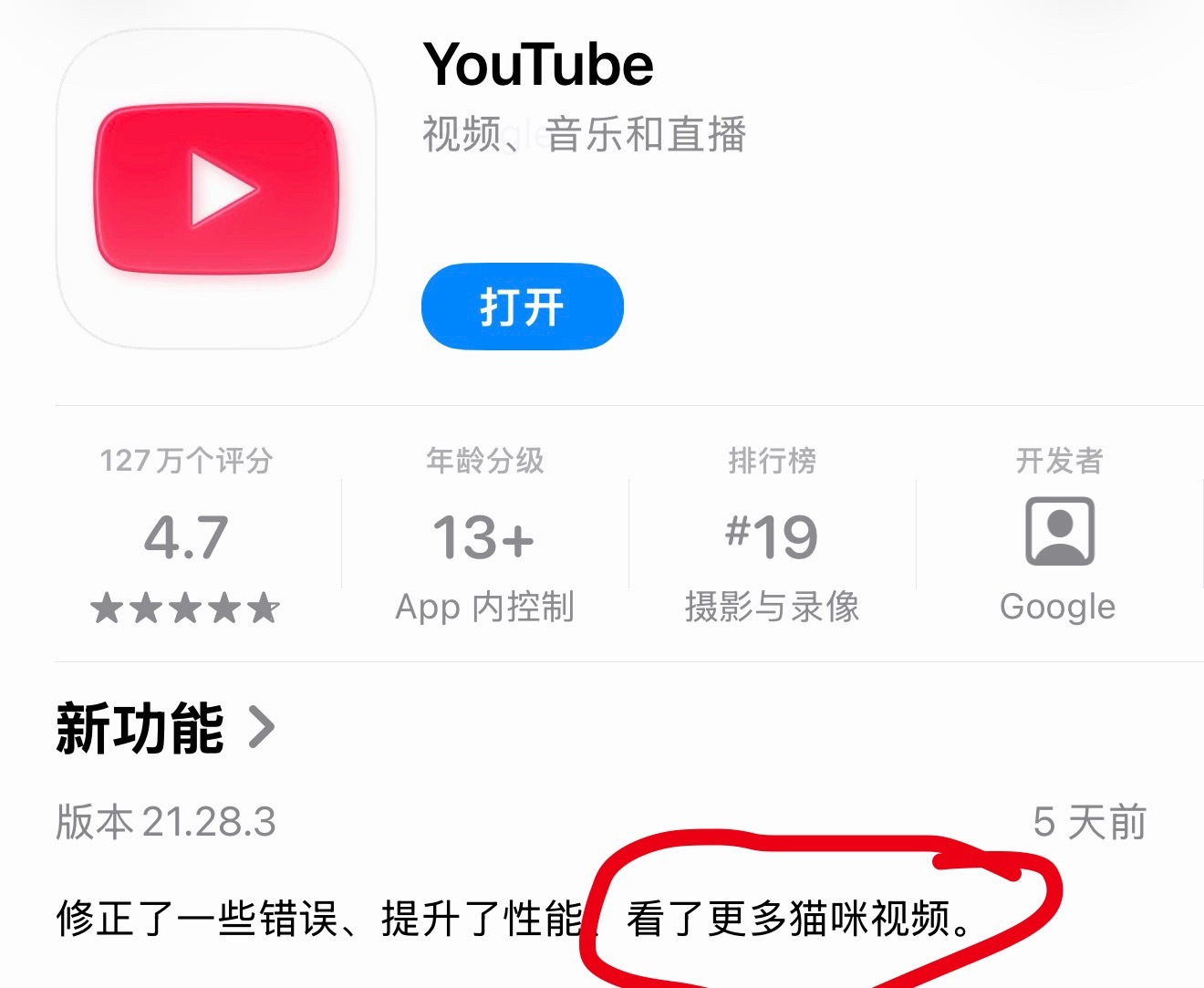 很想大声的告诉大家猫咪视频的确很重要‼️ 