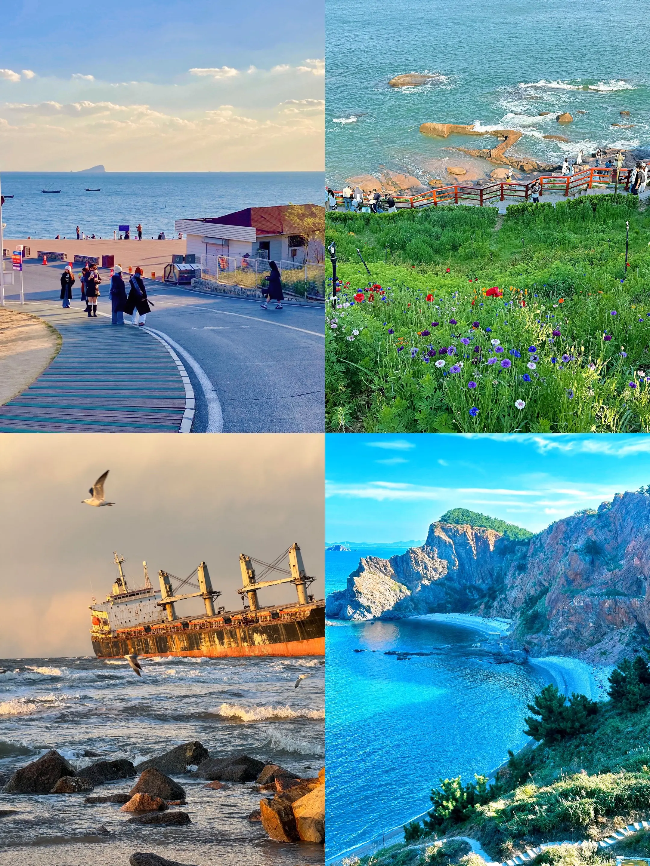 北方海水最干净的四座城市，你又去过哪个呢？